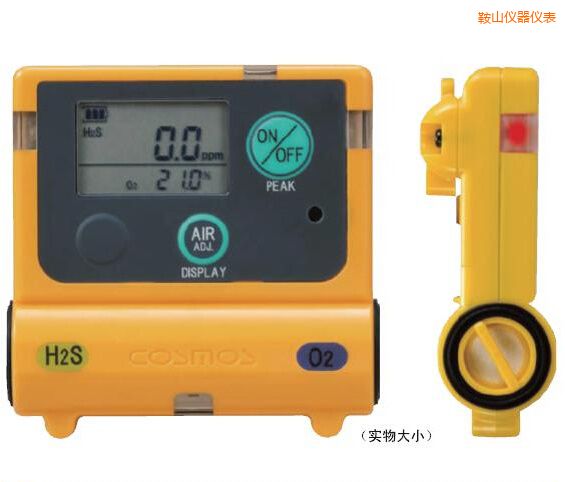 鞍山復(fù)合型氣體檢測器