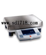 日照工業(yè)天平,12000.0.1g