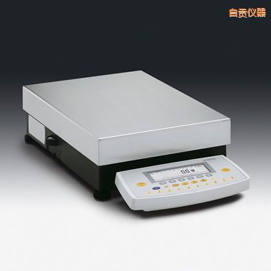 ��ؕ���������ƽ,12000g,0.1g