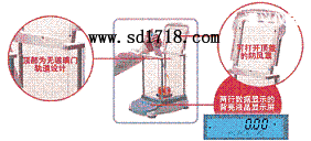 ���x���M����ƽ,210g,0.0001g